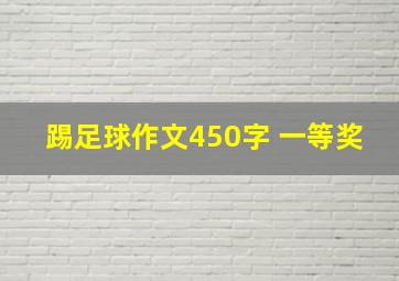 踢足球作文450字 一等奖